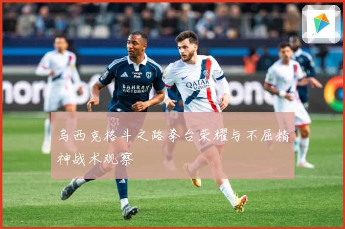 乌西克格斗之路拳台荣耀与不屈精神战术观察