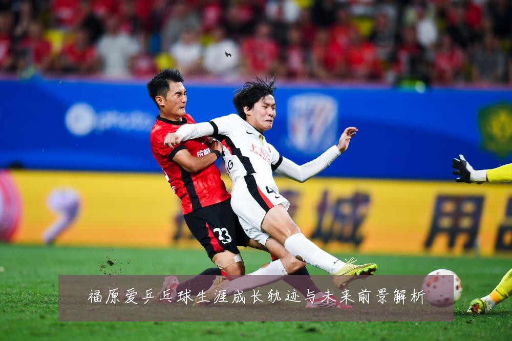 福原爱乒乓球生涯成长轨迹与未来前景解析